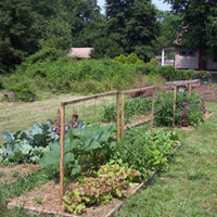 the right plan can turn 400 sq ft into hundreds of pounds of food each year; trellises and other structures help maximize space even more